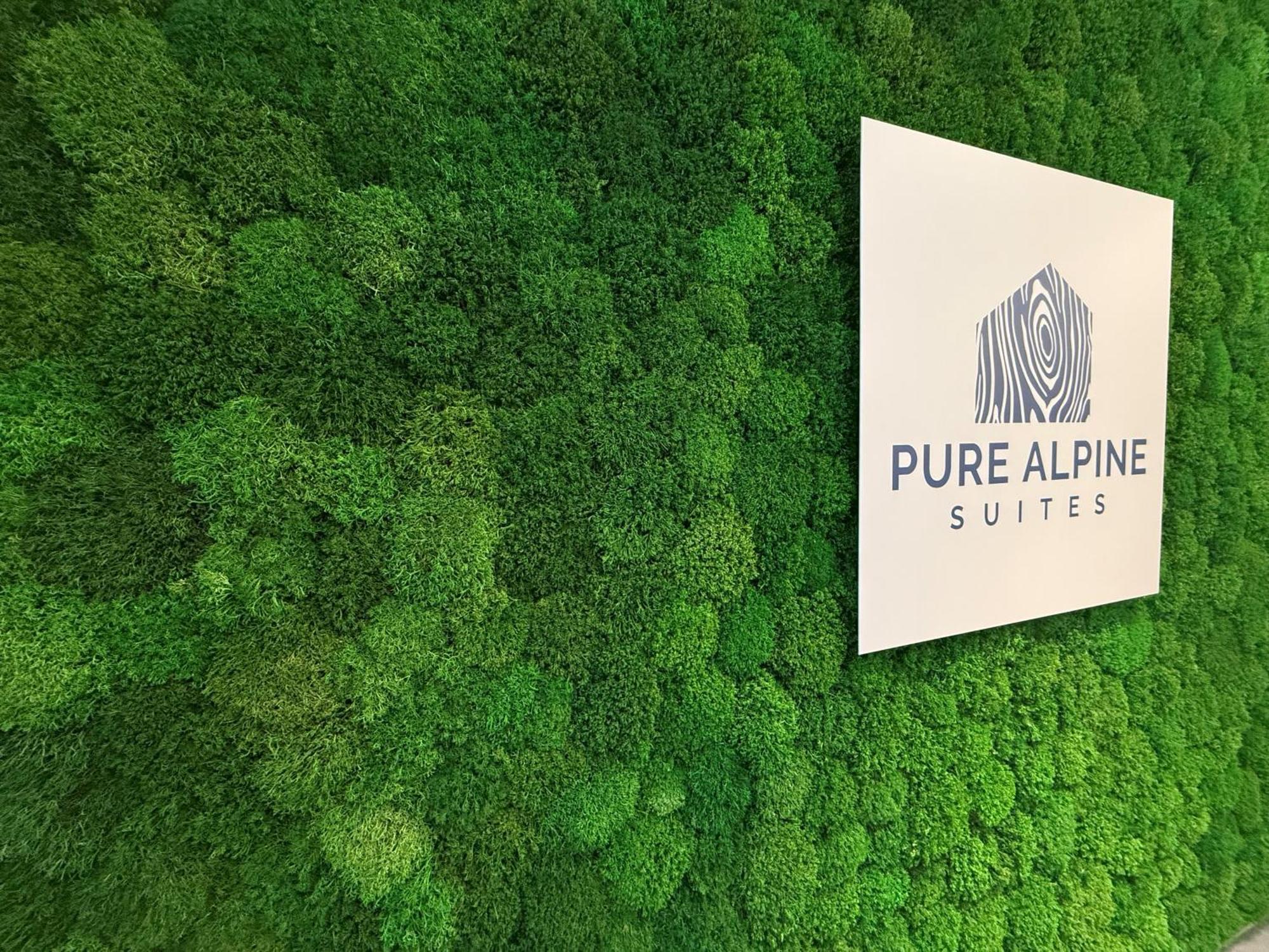 Pure Alpine Suites Schladming Kültér fotó